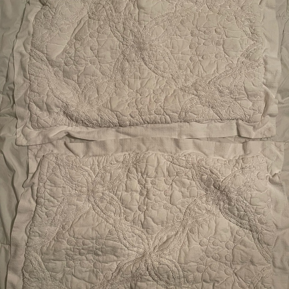 Pair of Pottery Barn Candlewick Standard Shams white / ivory Chenille Cotton